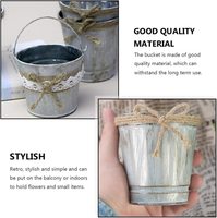 Ember logam kustom hadiah perak, pot taman dalam ruangan dekorasi rumah tanaman lucu Zinc dekoratif dalam ruangan