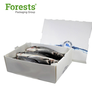 Cách Điện Tủ Đông Container Cá Tươi Hộp Bao Bì Cho Giao Hàng Phích Thực Phẩm Ấm Hơn Carton Các Tông Tủ Đông Hộp - Product Image 1