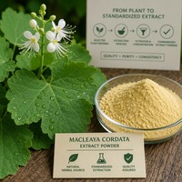 Poudre d'extrait de racine de Macleaya Cordata naturelle à base de plantes, rapport 10:1, poudre fine pure (80-120 Mesh), qualité alimentaire en vrac