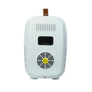 Petit réfrigérateur d'extérieur mini réfrigérateur pour le camping réfrigérateur <span class=keywords><strong>12V</strong></span> avec poignée - Product Image 6