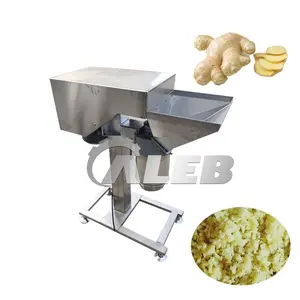 Factory Supplier ginger and garlic threshing machine Commercial fruit and vegetable grinding machine