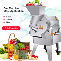 Industriële elektrische machine voor het snijden, hakken en raspen van groenten, fruit, aardappelen, uien, winterpompoen, papaja en andere groenten.