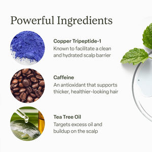 เซรั่มบำรุงหนังศีรษะสูตรเฉพาะสำหรับแบรนด์ OEM ผสมคอปเปอร์เปปไทด์ คาเฟอีน และน้ำมันทีทรี สำหรับ<span class=keywords><strong>ผม</strong></span>บาง ช่วยเร่งการเจริญเติบโตของเส้นผม ป้องกันผมร่วง - Product Image 4