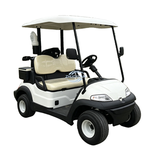 AC Drive Luxury Two <b>Passenger</b> Golf Sightseeing Electric Buggy for Hotel Villa and Golf Course Patrol - Product Image 3