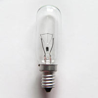 Ampoules micro-ondes E14 E17 B15 40 watts, ampoules tubulaires T8 à haute résistance à la température, ampoules incandescentes T25, mini ampoule pour réfrigérateur, pour four