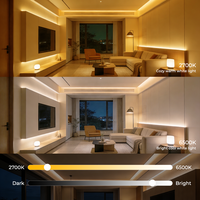 Bande LED COB double blanc CCT réglable de 2700K à 6500K, IRC 90, température de couleur ajustable, DC12V/24V, 22W/m, pour projets