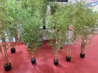 Nouveau produit : Plantes et fleurs artificielles Bonsaï, plantes artificielles en bambou pour la décoration intérieure, arbre Bonsaï