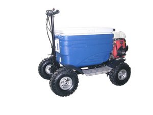 Glacière de petite taille à bon <span class=keywords><strong>prix</strong></span> pour adultes, utilisation en plein air, camping, scooter - Product Image 5