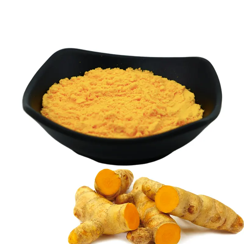 Meilleure vente de haute qualité extrait de curcumine poudre pur curcuma curcumine extrait de racine de curcuma