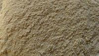 Machine industrielle d'extraction d'huile de son de riz Neem, petit pressoir à froid avec un bon prix