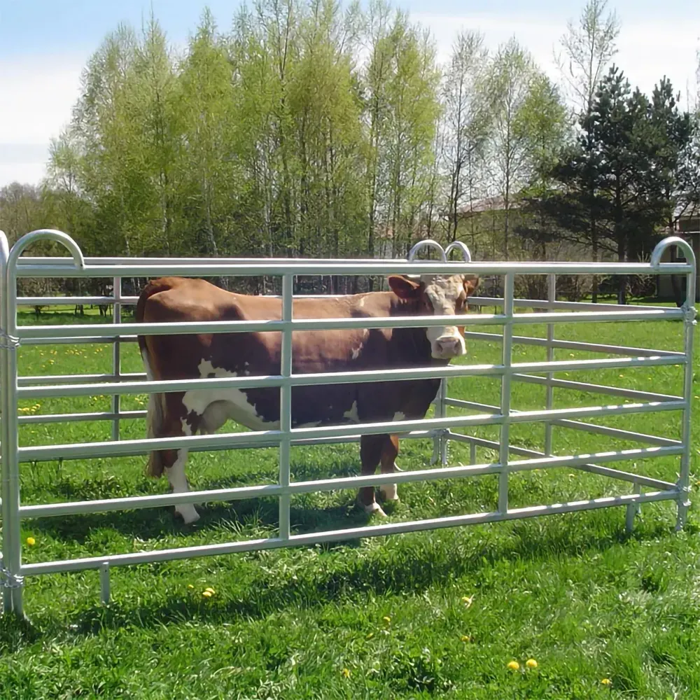 Normal Width 2.1 m Round Rails Galvanized Livestock Corral Panel For Cattle Horses Goat