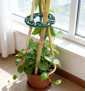 Supports de plantes en plastique vert HUAFU en gros, connecteurs de tuteurs, capuchons de soutien pour cannes de plantes, plantes grimpantes - Product Image 1