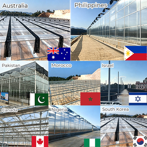 Smart Agricultural Greenhouse 500m2 Large Square PE Frame Greenhouses with PC Sheet Cover for Tropical <strong>Agriculture</strong> - Product Image 3