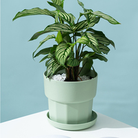 Pot bunga bonsai, pot bunga taman bonsai kecil sukulen sederhana resin plastik 4.0/5.0 inci