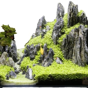 Décoration de pierre <span class=keywords><strong>Seiryu</strong></span> pour la décoration de l'aquarium - Product Image 1