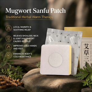 Cerotto Moxibustivo alle Erbe Sanfu, Segui la Terapia Tradizionale Estiva-Invernale, Dog-Days, Cerotto Sanfu per il Benessere - Product Image 5