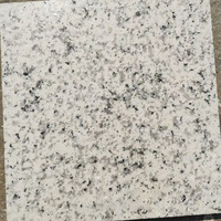 Dalles de sol en granit blanc moderne poli, pierre naturelle personnalisée pour jardin, traitement de pierre naturelle
