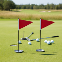 Mini-coupes de golf en acier inoxydable avec drapeau pour entraînement à domicile, aide à la pratique du putting, cadeau sportif
