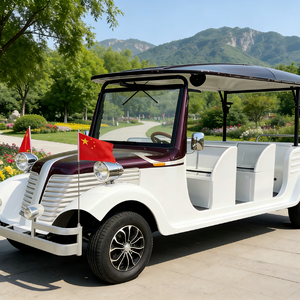 Auto Eléctrico Clásico Antiguo de Carga Rápida y Larga Duración, Ideal para Recorridos en Jardines Botánicos - Product Image 6