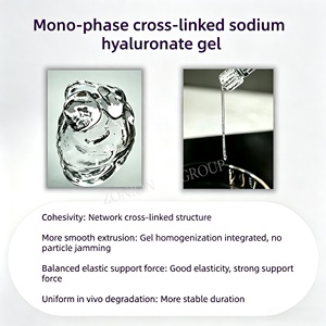 Acide hyaluronique certifié CE pour des lèvres pulpeuses et des contours sublimes, atténue le problème des rides nasogéniennes - Product Image 4