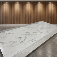 Panneau mural en PVC écologique effet marbre UV pour la décoration moderne des maisons, hôtels et villas avec solutions de design graphique
