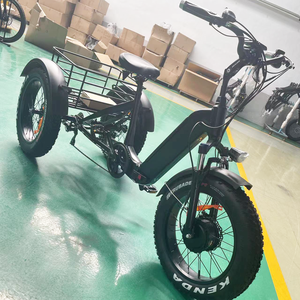 Joyebikes Triciclo Elettrico Cargo 20 Pollici 500W 750W, Bicicletta Elettrica a 3 Ruote con Pneumatici Fat, E-Trike da Montagna - Product Image 4