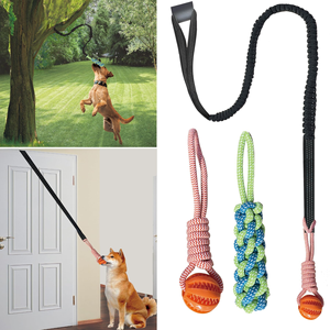 HIPHOPPET Factory BSCI Bungee Hanging Dog Toy with Interactive <b>Rope</b> Tug-of-War Chew Jumping Training for Indoor Outdoor Play - Product Image 4