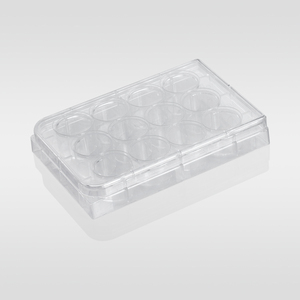 Ps pelat sumur Lab transparan bahan Ps plastik sekali pakai <span class=keywords><strong>6</strong></span> Well/12 Well/24 Well <span class=keywords><strong>Cell</strong></span> <span class=keywords><strong>Culture</strong></span> <span class=keywords><strong>Plate</strong></span> - Product Image 1