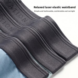 Carpinne Boxer Briefs pour <span class=keywords><strong>Homme</strong></span> en Modal Ultra-Fin, <span class=keywords><strong>Taille</strong></span> Mi-Haute, Uni, Antibactérien, Tricoté, Respirant, <span class=keywords><strong>Taille</strong></span> 4XL, Entrejambe - Product Image 4