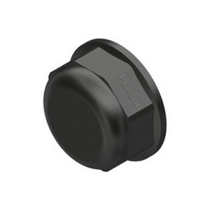 Tappo da 2 Pollici per Sistemi HVAC, in Acciaio Nero Placcato - Product Image 1