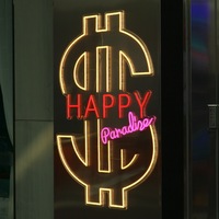 Lettres lumineuses LED 3D en néon pour l'extérieur, pour les entreprises, les écoles, les centres commerciaux, la décoration et la publicité, étanches IP65, bandes LED (personnalisables)