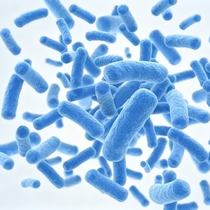Biofertilizante en Polvo de Alta Actividad de Bacillus Subtilis, Acondicionador de Suelo Orgánico Controlado para Plantaciones de Arroz y Aceite de <span class=keywords><strong>Palma</strong></span> en el Sudeste Asiático - Product Image 5