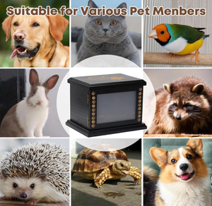 <span class=keywords><strong>Modern</strong></span> <span class=keywords><strong>Pet</strong></span> Urns külleri için el-oyma anıt kül durumda-özel <span class=keywords><strong>Pet</strong></span> portre hatıra kutusu ile kremasyon çömleği Funerary çekmeceler - Product Image 5