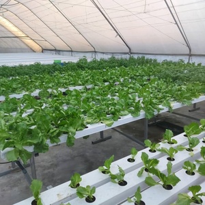 Système de culture hydroponique agricole pour légumes-feuilles, chou frisé, <span class=keywords><strong>basilic</strong></span> - Product Image 5