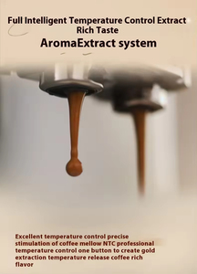 เครื่องชงกาแฟเชิงพาณิชย์ประสิทธิภาพสูง / เครื่องชงกาแฟอัตโนมัติสำหรับสำนักงานและบ้าน ราคาเครื่องชงกาแฟในอินเดีย - Product Image 5