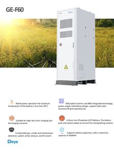 Deye Hot Sale Solar <strong>Battery</strong> High Quality for Solar Power System <strong>GE</strong>-F60 Lithium <strong>Battery</strong> in House - Product Image 2
