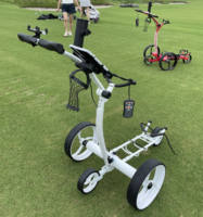 Chariot de golf électrique à batterie lithium 24V DC à double poignée avec télécommande
