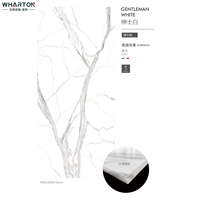 Wharton 160*320 Comptoirs en pierre frittée Gentleman White Soft Lustre Whole Body Rock Slab pour salle à manger salon chambre à coucher