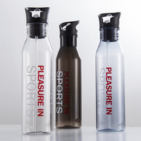 Bouteille d'eau écologique de 700 ml pour le sport, le cyclisme, le VTT, avec paille intégrée pour le camping et les excursions