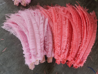 Plumes d'autruche Nandu HY 50 cm pour décoration de fête, maison, mariage, vase, bricolage, artisanat floral, chapeau, fascinateur, accessoire de coiffure