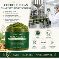 Grossiste en gommage naturel pour cheveux et cuir chevelu au Platycladus, Polygonum et Gingembre, nettoyage en profondeur, fournisseur d'emballages personnalisés