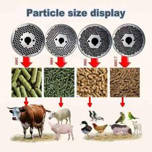 घरेलू फ़ीड पेलेटिज़र मशीन हेनान पशु फ़ीड पेलेट मशीन - Product Image 4