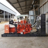 Direktvertrieb 300KW Biogas-Energiegenerator Hocheffiziente Abfall-zu-Energie-Stromerzeugungsanlage für Landwirtschaft, Fabrik und Industrielle Notstromversorgung