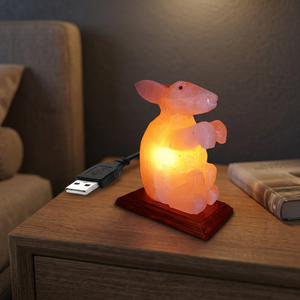 Lampe de sel rose de l'Himalaya personnalisée 2025, mini USB, forme naturelle, décoration d'intérieur, technique de sculpture polie, OEM, Feng Shui - Product Image 1