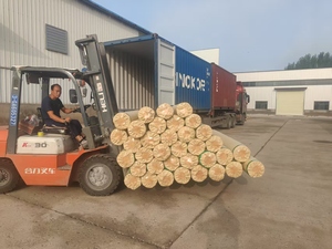 Venta de Fábrica: Rollos de Linóleo de PVC Modernos, Económicos, Revestimiento de Suelo de Plástico Imitación Madera - Product Image 6