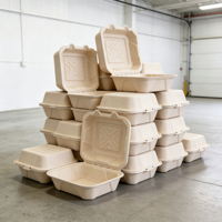Boîte à lunch biodégradable en bagasse de canne à sucre, jetable, micro-ondable et recyclable