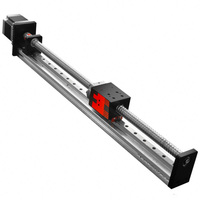 Custom Slag Rail Actuator G1610 Bal Schroef Gemotoriseerde Lineaire Beweging Gids