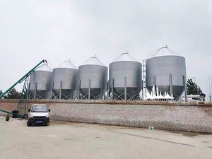 Silos de stockage de matières premières pour aliments de volaille (canards, oies, moutons, porcs, chevaux) et foin – Bacs de stockage pour tourteaux de soja - Product Image 6