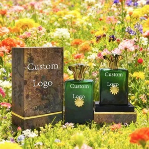 Blue Wilderness Land Men's 100ML Perfume caliente <span class=keywords><strong>de</strong></span> larga duración Fragancia <span class=keywords><strong>de</strong></span> moda y encantadora - Product Image 1