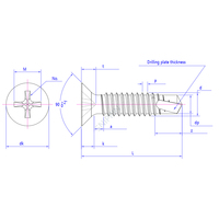 DIN7504P 304 vis autotaraudeuses Phillips à tête fraisée en acier inoxydable, vis à queue Tek à tête plate M2.9-M6.3